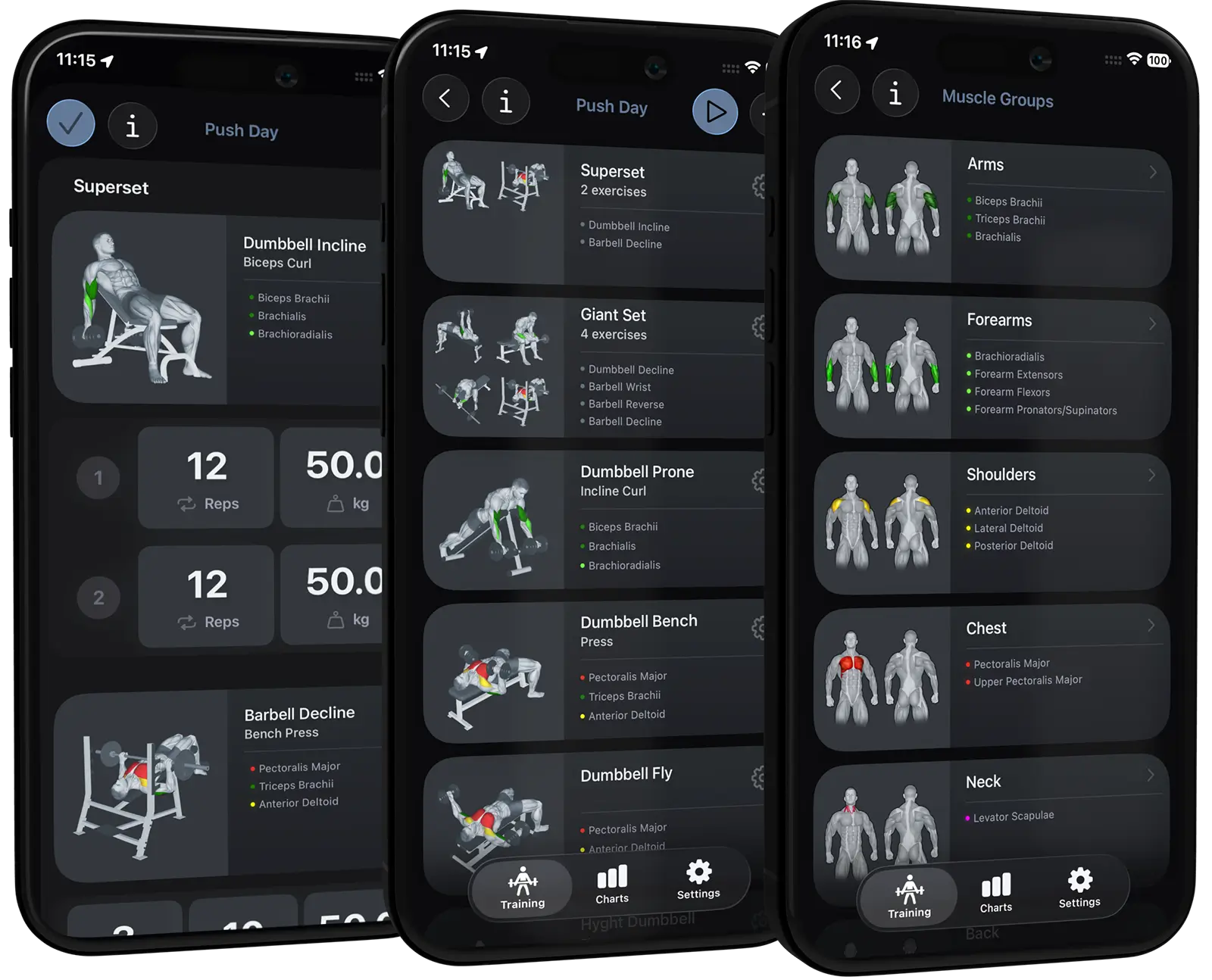 VigiGym App Screenshots - Efficient workout planning for athletes with focus on supersets, muscle groups, and progress tracking. Screenshots of the VigiGym app featuring minimalist workout planning, including supersets, exercises for arms, shoulders, and chest, plus progress tracking with reps and weights.